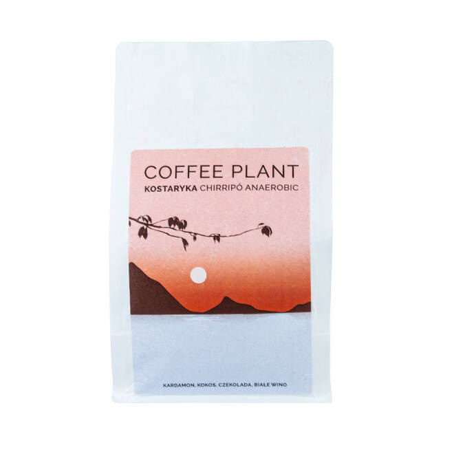 kawa COFFEE PLANT Kostaryka Chirripo anaerobic 250g